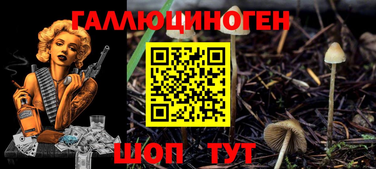 Галлюциногенные грибы мухоморы  Вход с VPN  Псилоцибиновые грибы MAGIC MUSHROOMS  Ипатово 